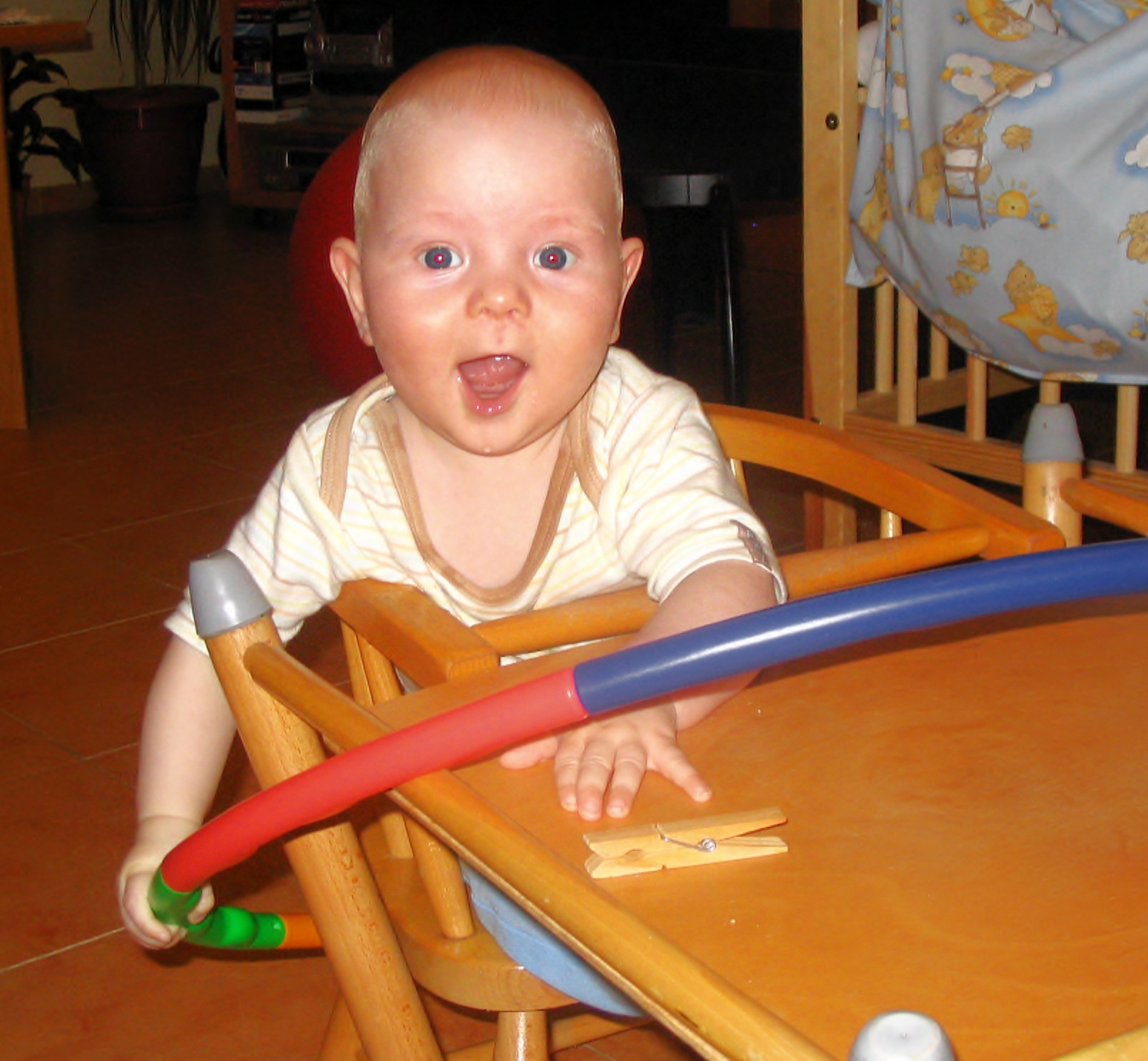 zoubky ještě nemám.jpg